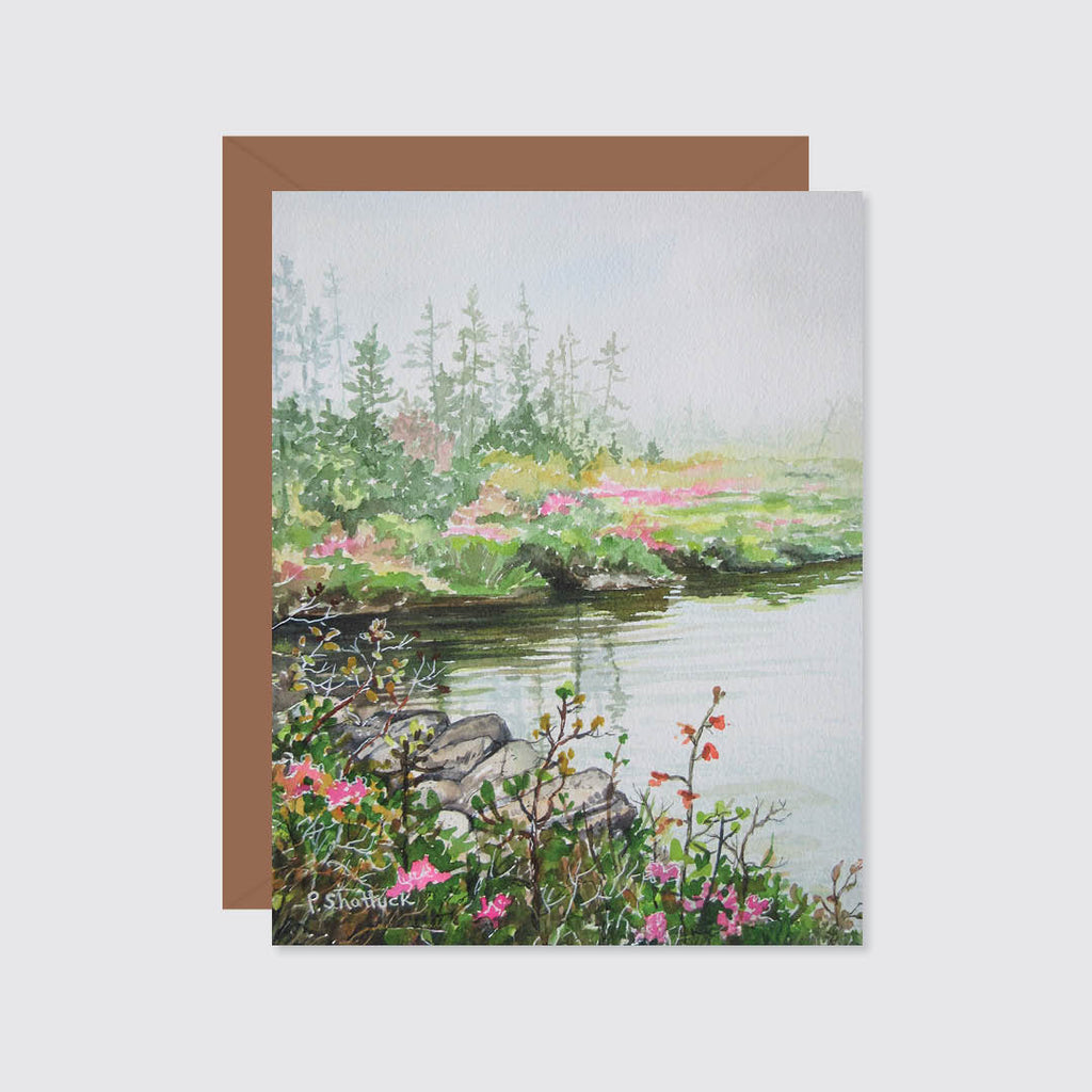 Wilderness Spring