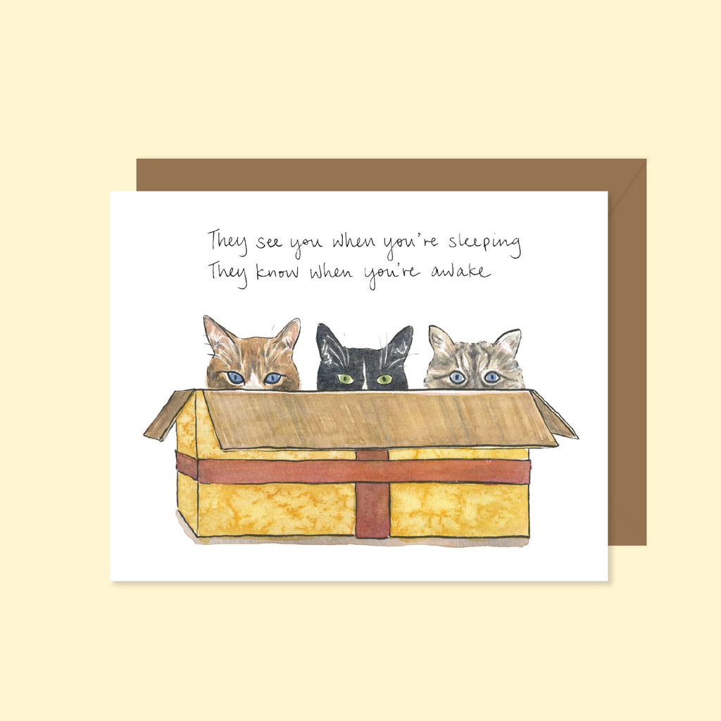 Cats in a Box