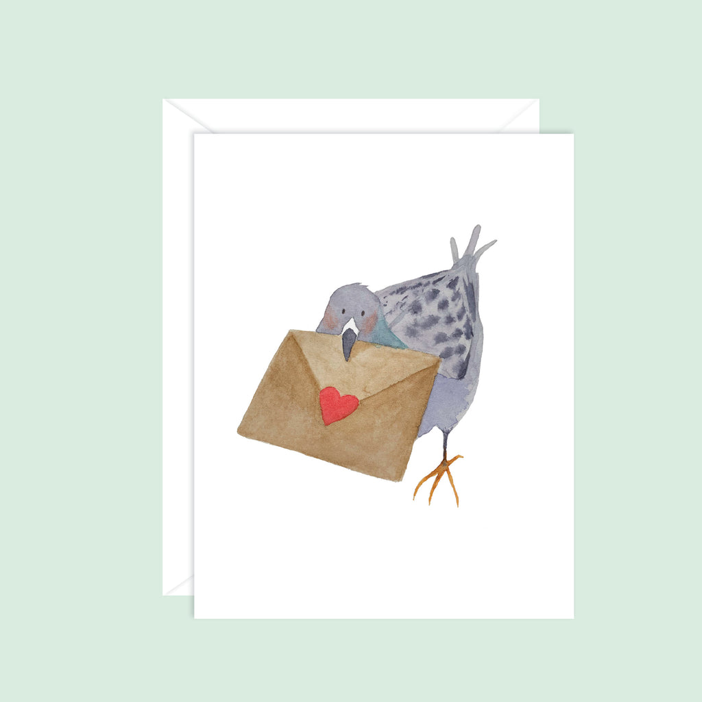 Pigeon Letter